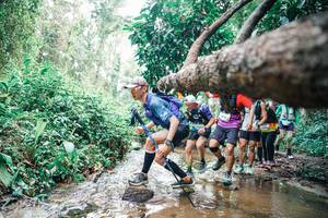 BIB: 
                            <button type="button" onclick="openModal(25373511)" class="btn btn-primary btn-sm float-right btn-popup" data-toggle="modal" data-target=".modal-high-quality">
                        <i class="fas fa-shopping-cart"></i> Add to Cart
                    </button>
                                            <button type="button" onclick="isThisMe(25373511, true)" class="btn btn-success btn-sm float-right btn-popup btn-isme hidden" data-toggle="tooltip" data-placement="bottom" title="นี่คือรูปของคุณใช่ไหม คลิกที่นี่เพื่อเอาเข้าอัลบั้ม">
                        <i class="fas fa-plus"></i> Add to album
                    </button>
                    <button type="button" onclick="isThisMe(25373511, false)" class="btn btn-warning btn-sm float-right btn-popup btn-isnotme hidden">
                        <i class="fas fa-ban"></i> Remove from album
                    </button>